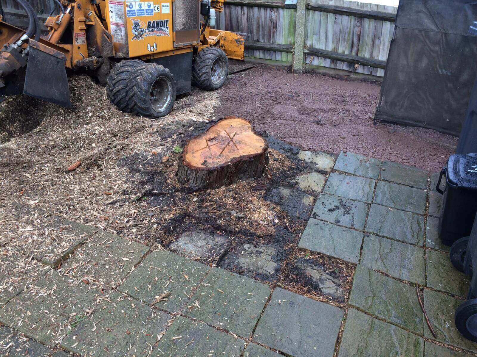 Tree Surgeons Orpington BR6/BR5