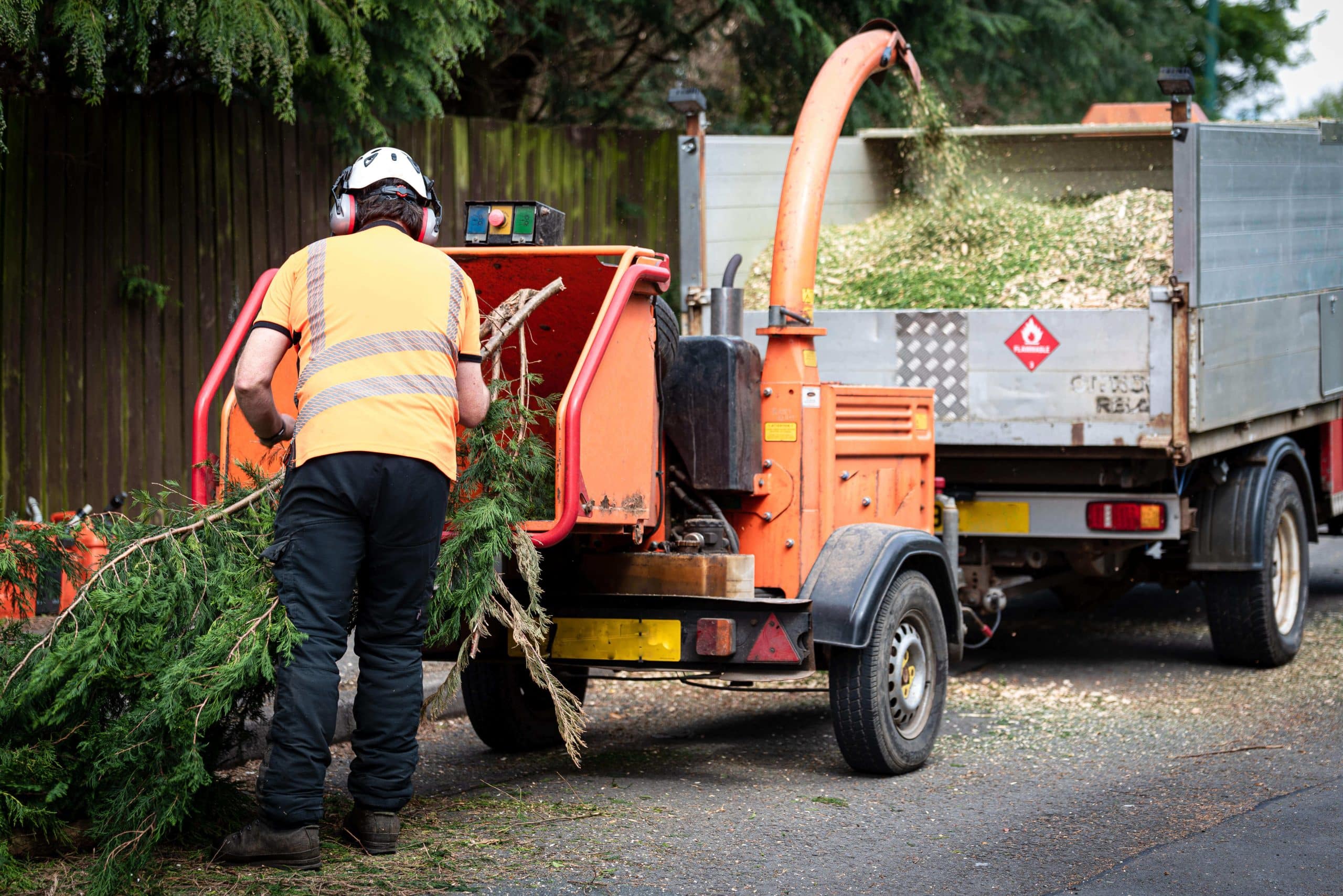 Tree Stump Grinding/Removal Orpington BR6/BR5