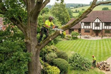 Tree Surgeon 3